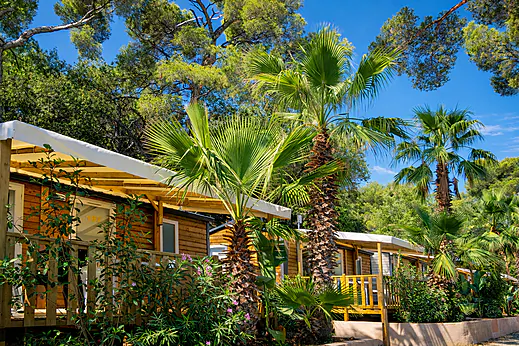 Mobil-homes avec terrasses ombragées et palmiers au camping CLICOCHIC Baie de Cavalaire (83). Mobil-homes avec terrasses ombragées et palmiers au camping CLICOCHIC Baie de Cavalaire (83).