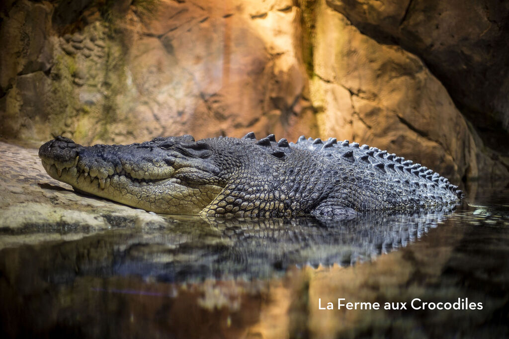 Le Beauregard, Camping Provence-Alpes-Cte d'Azur - 37