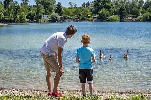 Père et enfant observant des oies sur un lac au camping CAPFUN Fort Falabraque.