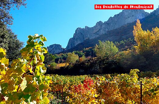 Les Dentelles de Montmirail, vignobles colorés en automne, près de Vinsobres en Drôme.